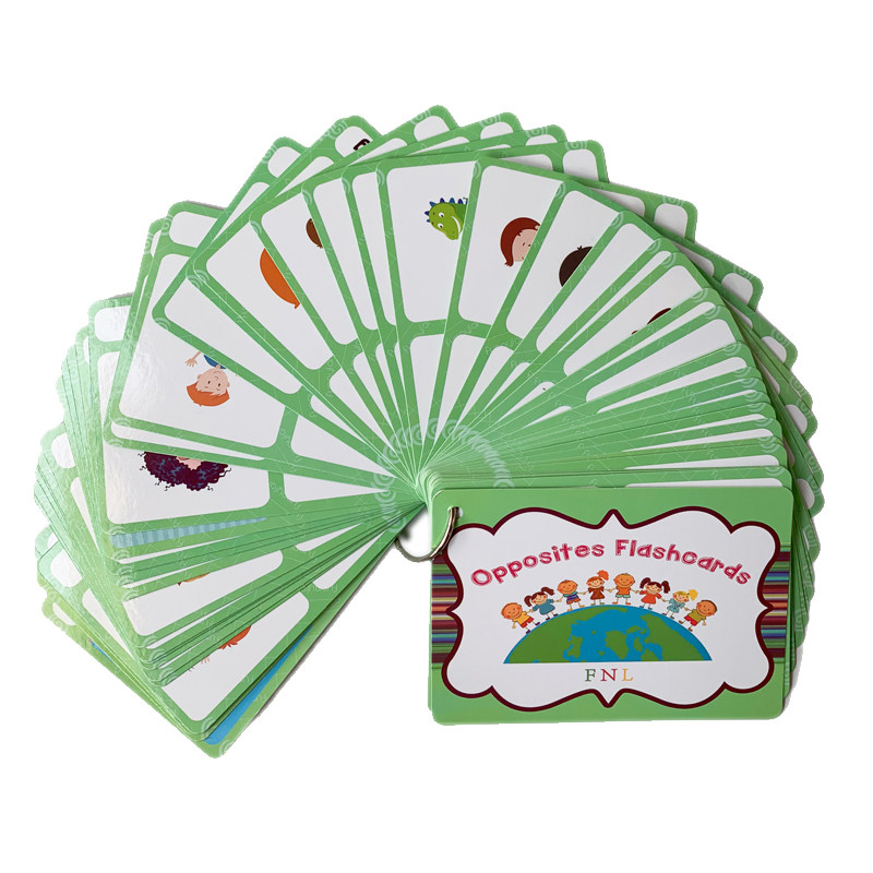 100 cartes mémoire sur les gro - English Kids Education avis et prix