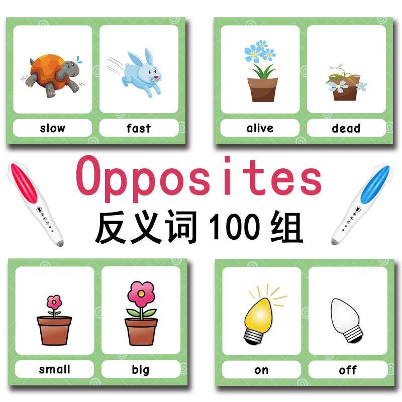100 cartes mémoire sur les gro - English Kids Education avis et prix