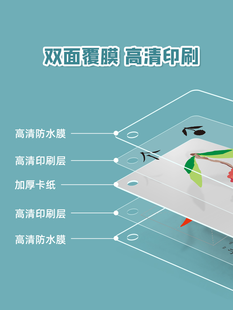 Cartes Flash chinoises d'appre - Kids Education Words avis et prix